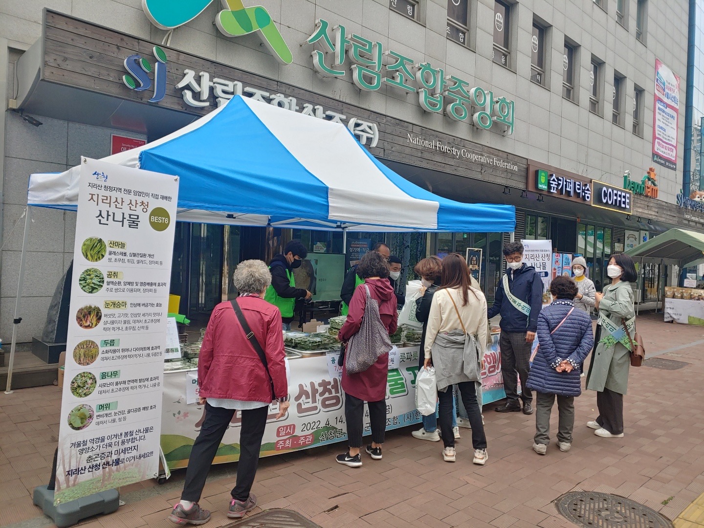 지리산 산청 산나물, 서울 소비자 사로잡는다 1