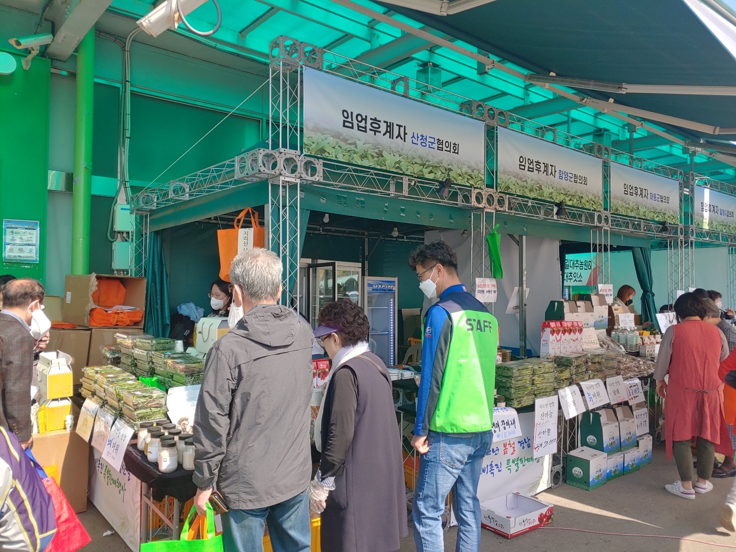 지리산 산청 산나물, 서울 소비자 사로잡는다 2