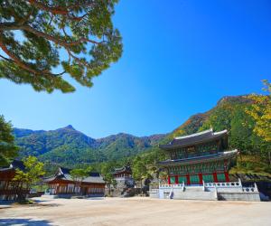 '산청군 2021 대한민국 방방곡곡 여행박람회 참가'