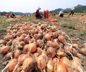'산청농업센터 농번기 농업인 불편 해소 나선다'