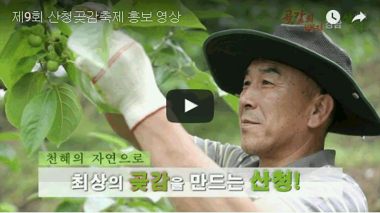 제9회 지리산 산청곶감 축제 홍보 영상 이미지