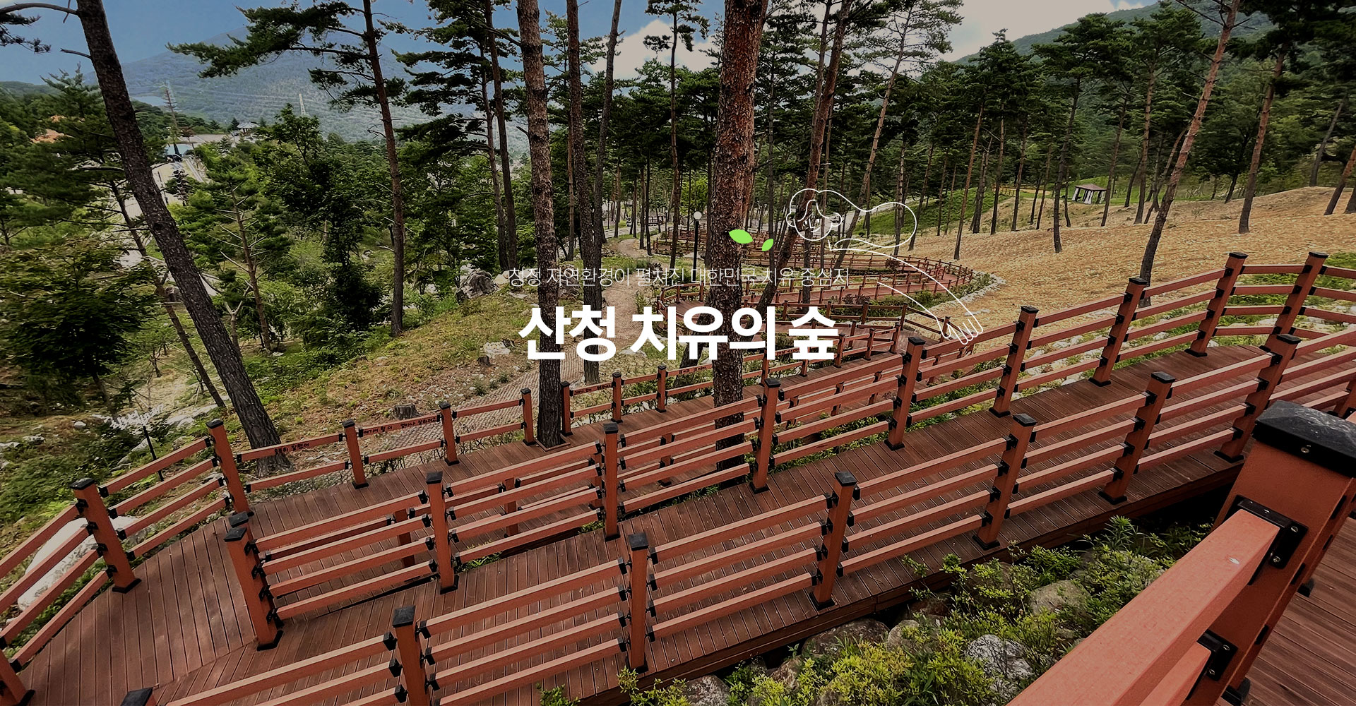 청정 자연환경이 펼쳐진 대한민국 치유 중심지 산청군 치유의 숲
