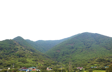 Hwajangsan Mountain/Suyangsan Mountain