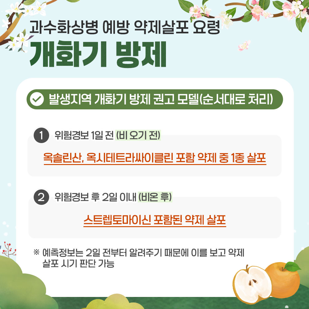 「과수화상병 예방을 위한 개화기 약제살포 카드뉴스」 안내 3