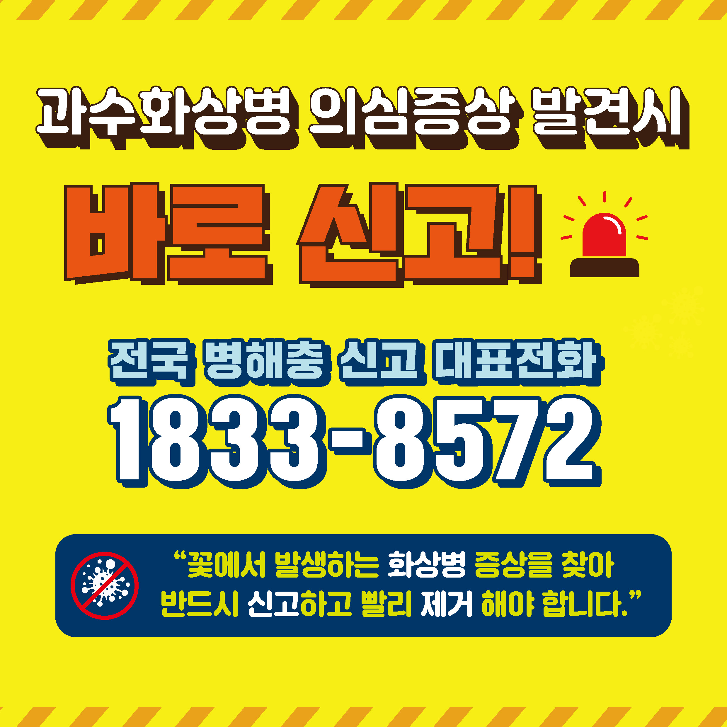 과수화상병 확산방지 및 농가신고제 운영을 위한 카드뉴스 안내 5