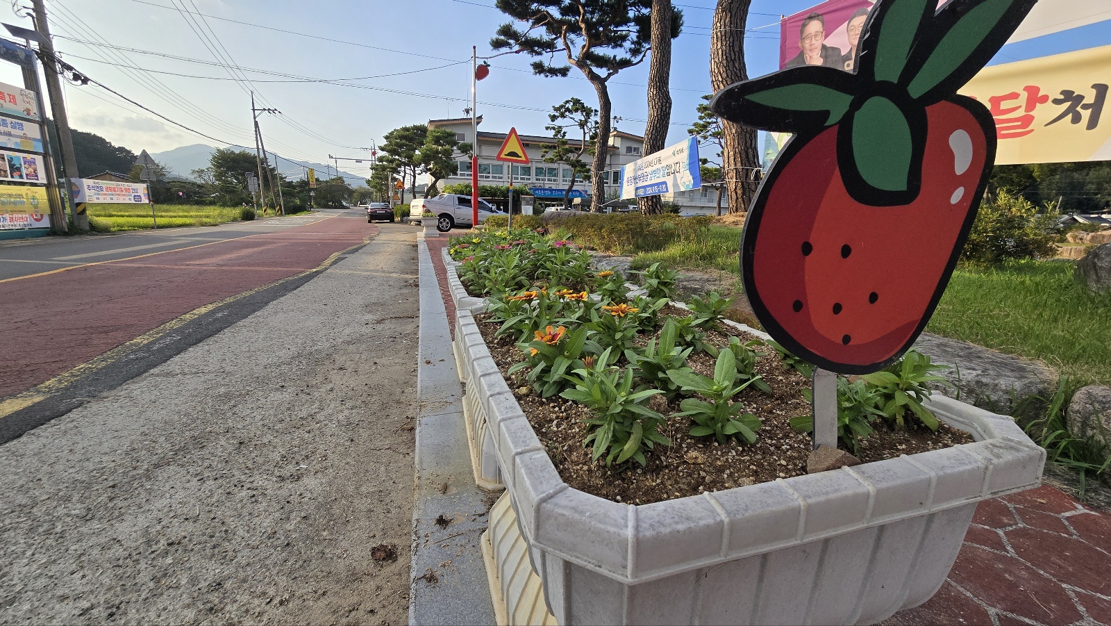 산청군 신등면, 도로변 꽃길 조성 1