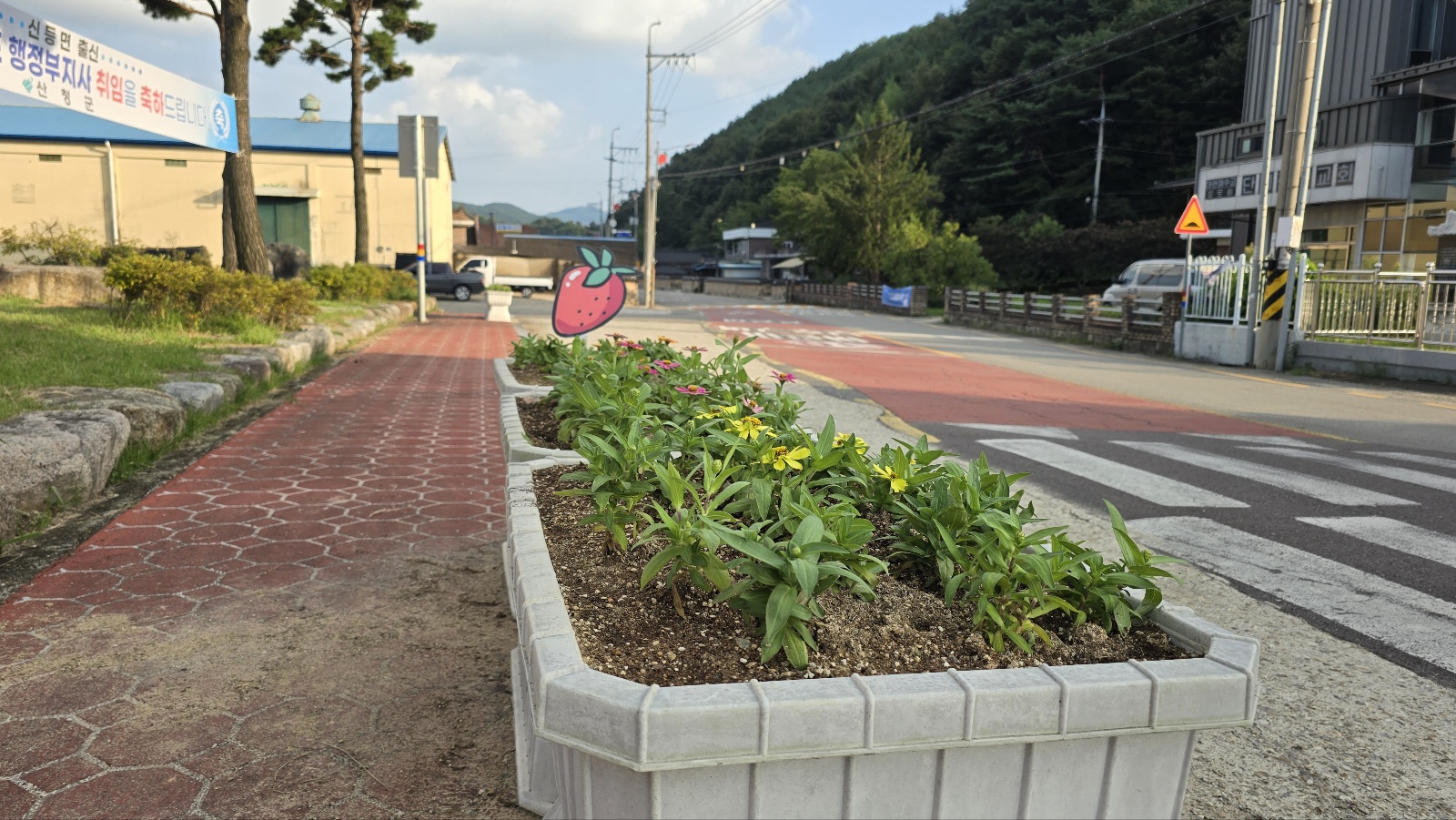 산청군 신등면, 도로변 꽃길 조성 2