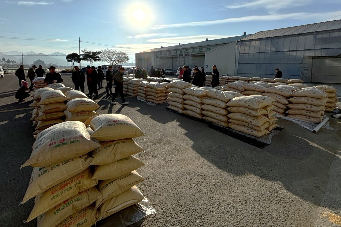 산청군, 2027년 공공비축미곡‘미소진품’, ‘아람’선정 1