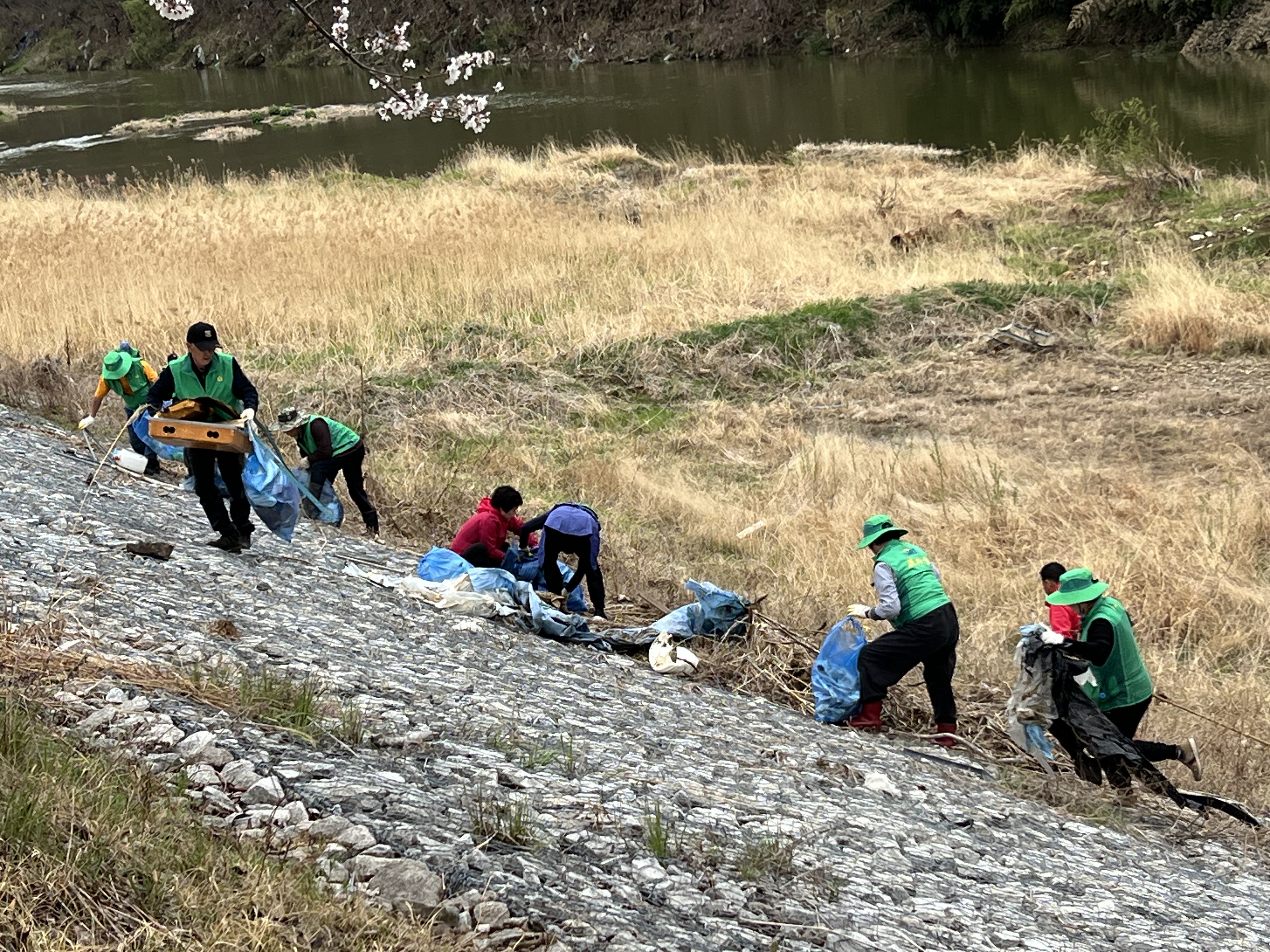 생비량면 새마을부녀회, 환경정비 실시 1