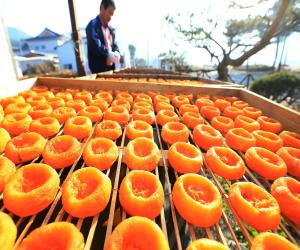 '지리산이 키운 산청곶감 맛보러 오세요'