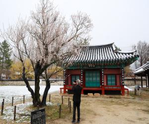 '포토뉴스 - 춘분에 눈 내린 하얀눈…산청 산천재 설경'