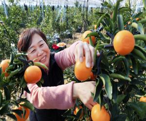 '산청군 여성농업인 특화 지원사업 실시'