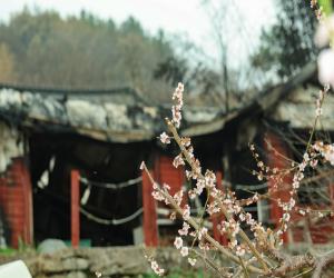 '화마가 삼킨 산청군, 희망은 남았고 회복은 이미 시작됐다'