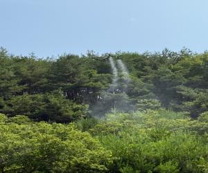 '산청군, 밤나무 해충 드론방제 추진'