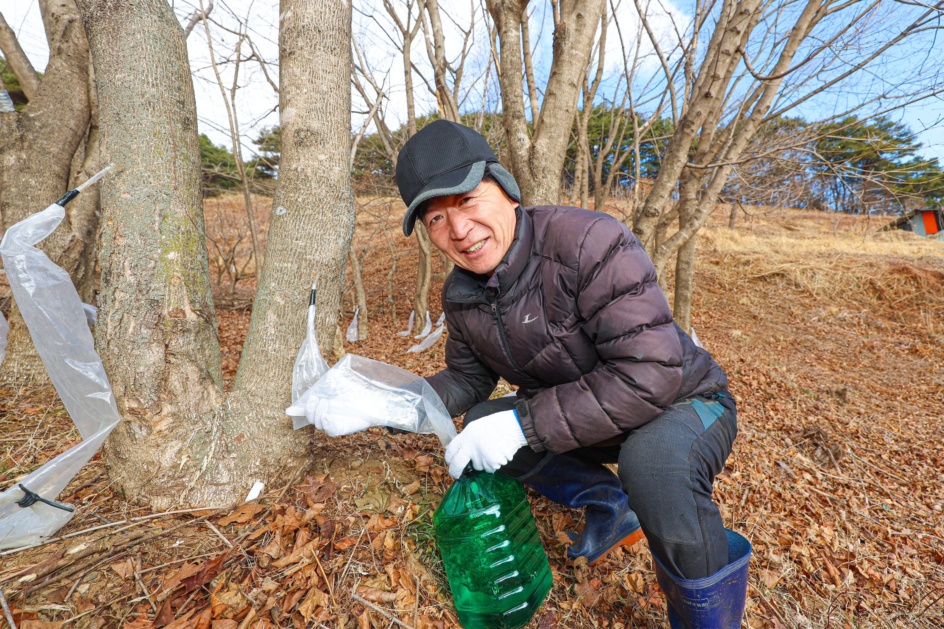 "지리산 산청 고로쇠 맛보러 오세요" 3