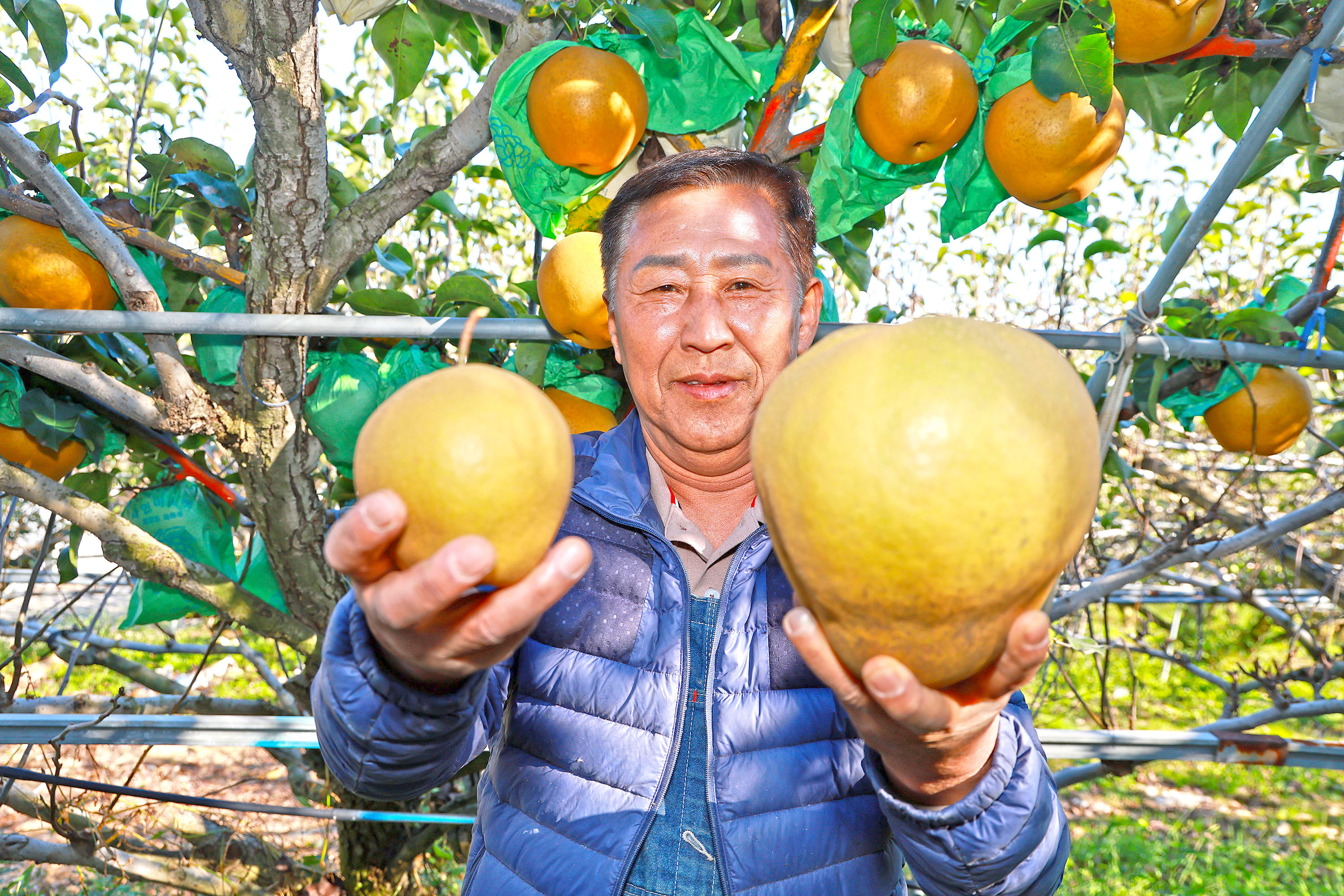 “지리산 청정골 산청에서 자란 대왕배 맛 보세요” 4