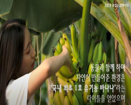 산청군 산엔청쇼핑몰 홍보영상 이미지