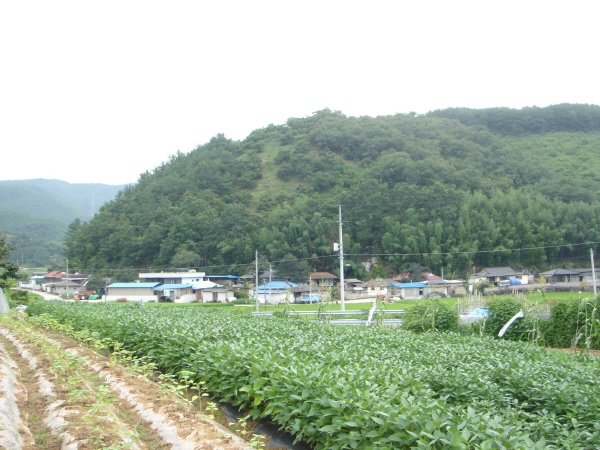 화현(새터)마을 1
