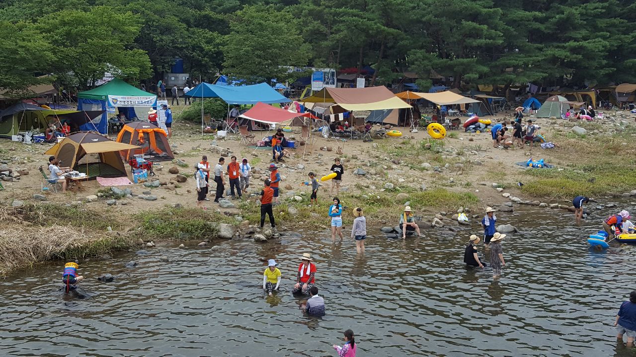 송정숲 물놀이 사진 1