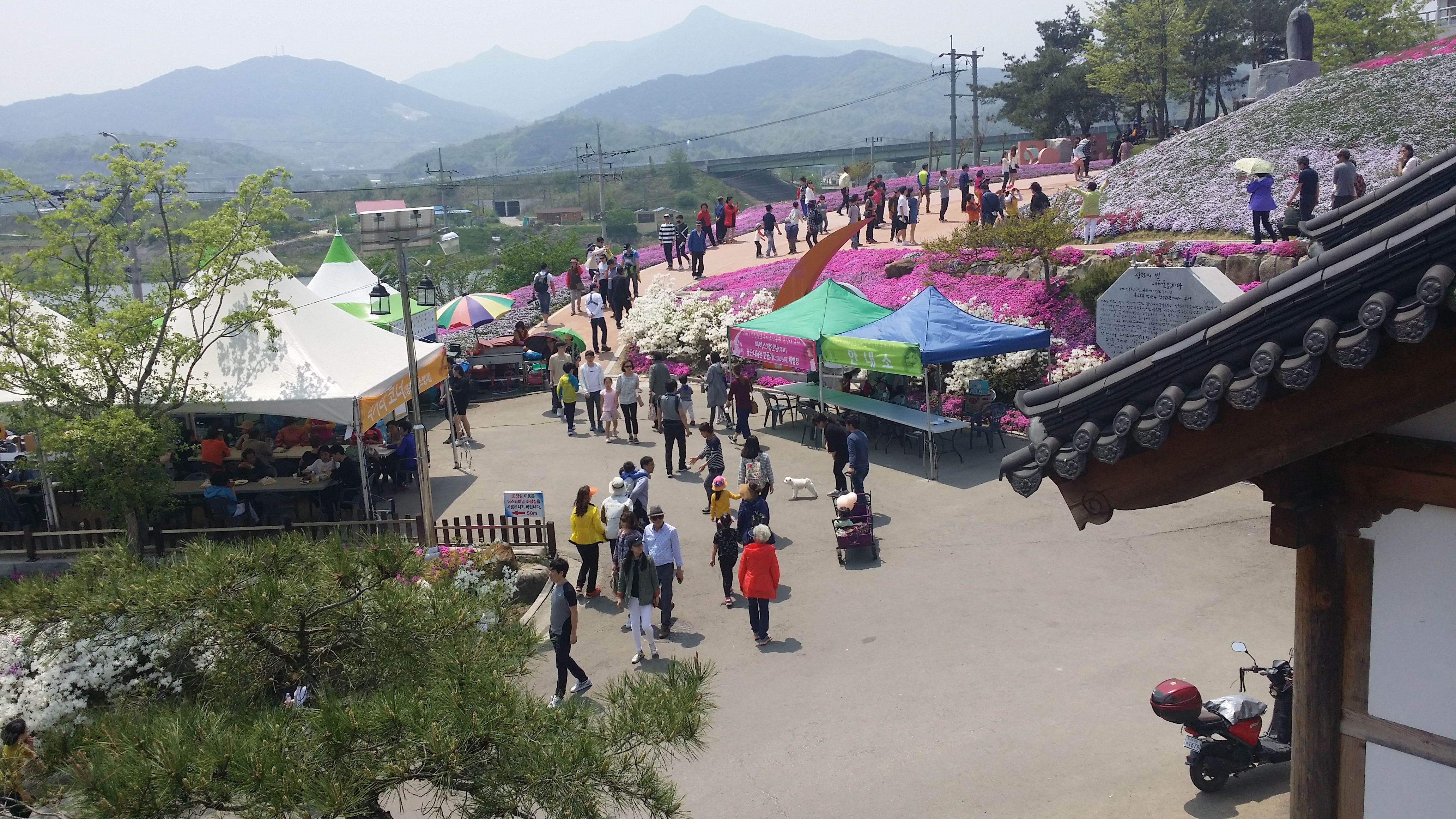 2017 산청 생초국제조각공원 꽃 잔디 축제 1