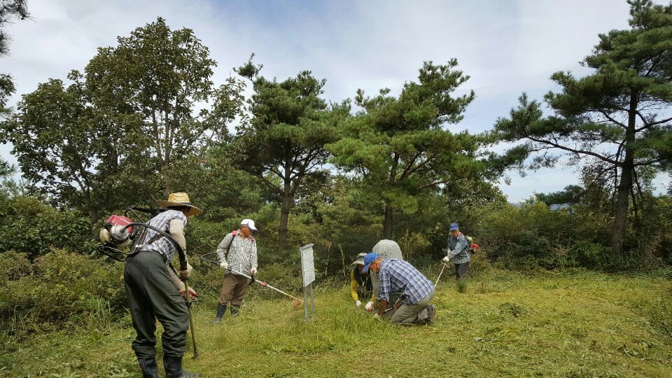 소롱산악회 바랑산 풀베기 1