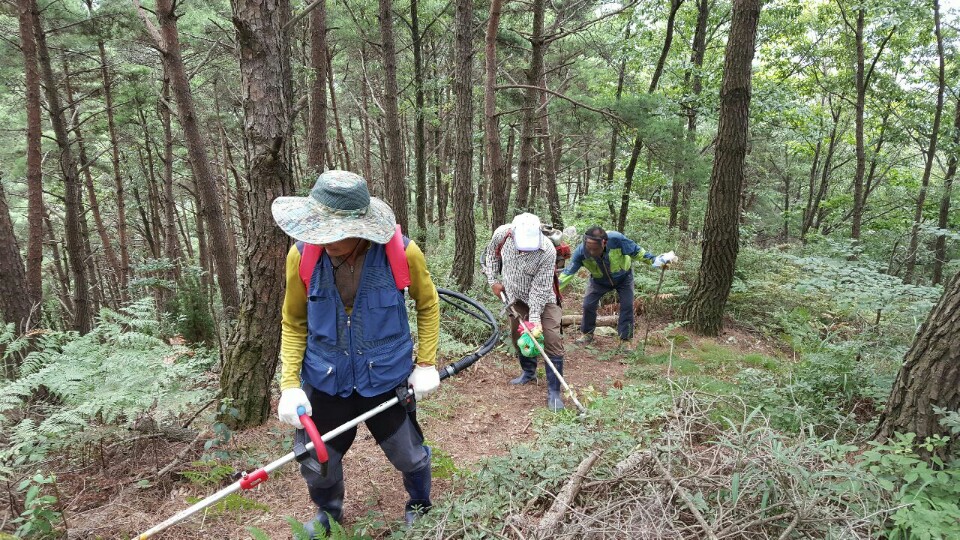 오부소룡산악회 바랑산 풀베기 1