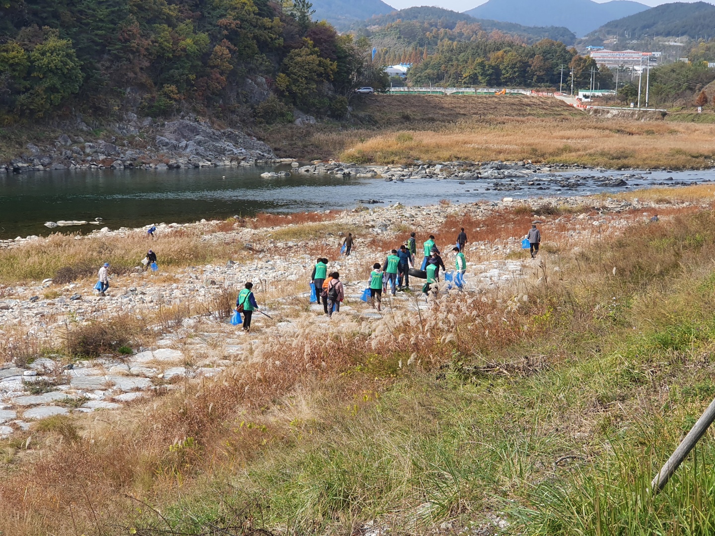 산청읍 경호강변 주요 도로변 및 하천변 환경정화 실시(11. 5. 실시) 강변정화1 1