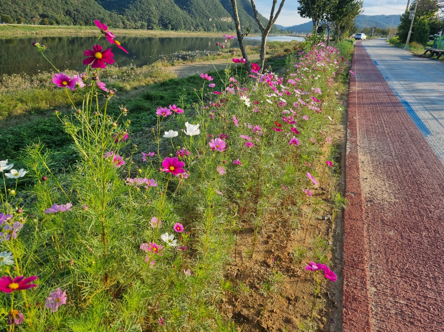 단성면, 산책과 함께 가을 향기 느껴보세요 1