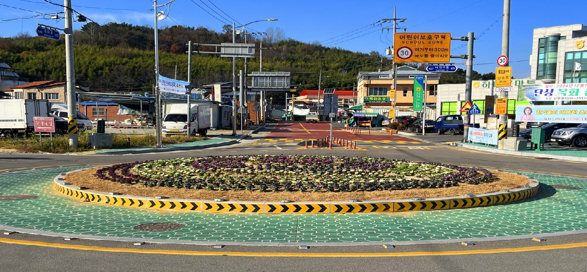 단성면 소재지권에 겨울꽃으로 새단장 1