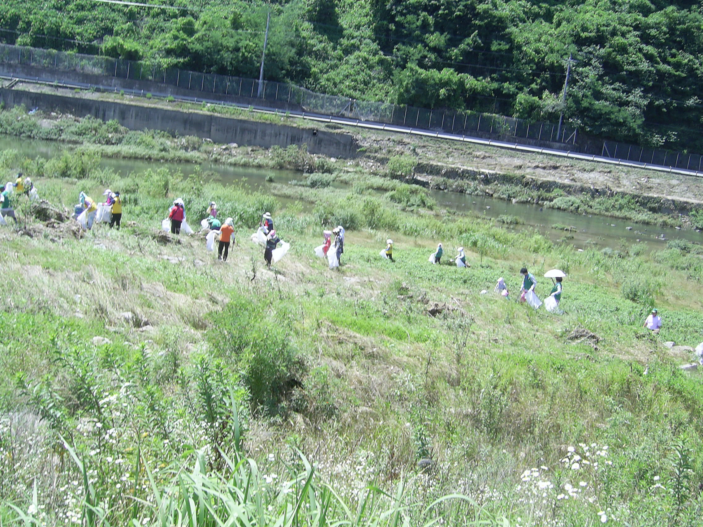 [2011.7.20]생비량면 사회단체 환경정화 활동 2