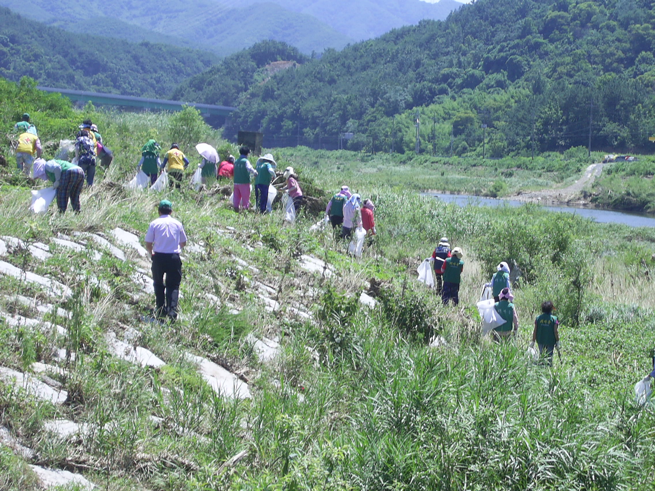 [2011.7.20]생비량면 사회단체 환경정화 활동 1