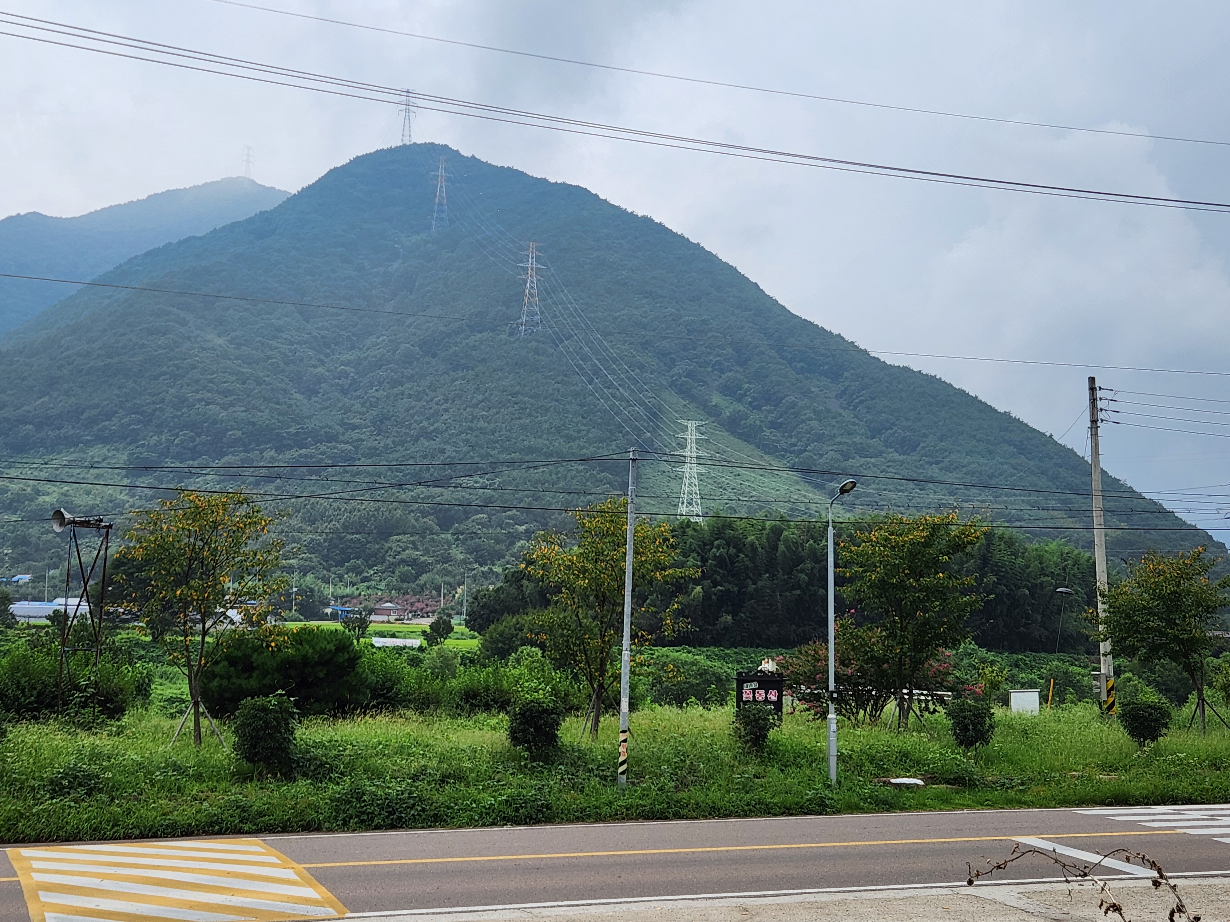꽃동산인지 잡초동산인지 모르겠습니다. 1