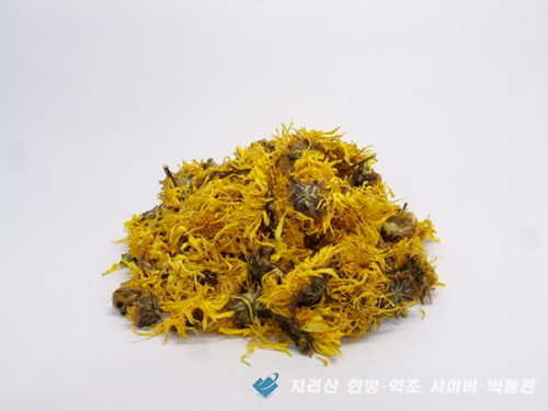 '감국(甘菊)' 이미지