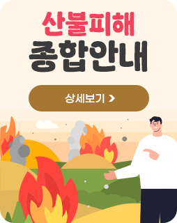 산불피해 종합안내
상세보기