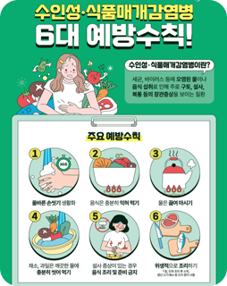 수인성·식품매개감염병 6대 예방수칙!
수인성·식품매개감염병이란?
세균, 바이러스 등에 오염된 물이나 음식 섭취로 인해 주로 구토, 설사, 복통 등의 장관증상을 보이는 질환

주요 예방수칙
1. 올바른 손씻기 생활화
2. 음식은 충분히 익혀먹기
3. 물은 끓여 마시기
4. 채소, 과일은 깨끗한 물에 충분히 씻어먹기
5. 설사 증상이 있는 경우 음식 조리 및 준비 금지
6. 위생적으로 조리하기
* 칼, 도마 조리 후 소독, 생선·고기·채소 등 도마 분리 사용