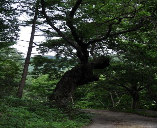 구곡산 이미지