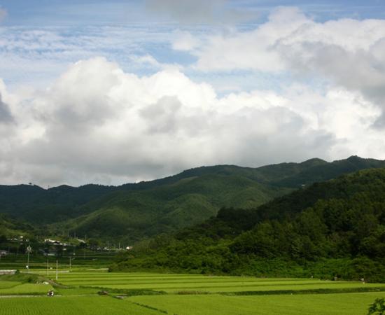 구인산 이미지