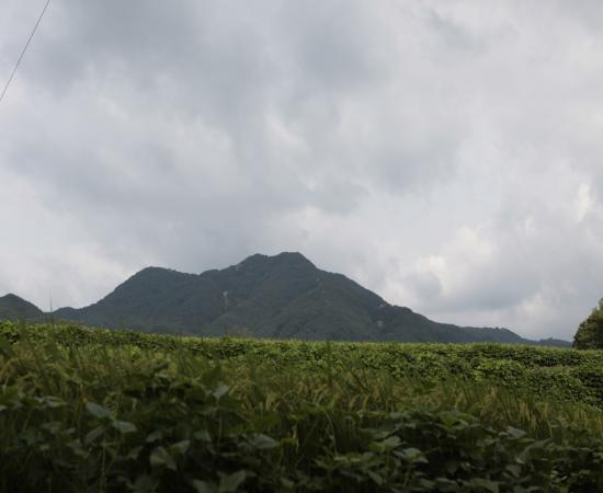 바랑산·소룡산 이미지