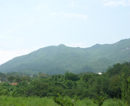 석대산 이미지