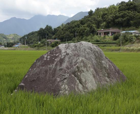 산청 특리 지석묘군 이미지