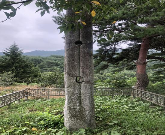 산청 단속사지 당간지주 (山淸 斷俗寺址 幢竿支柱) 이미지