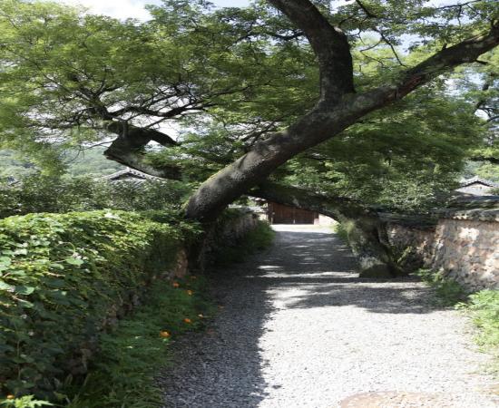 산청남사리이씨고가 이미지