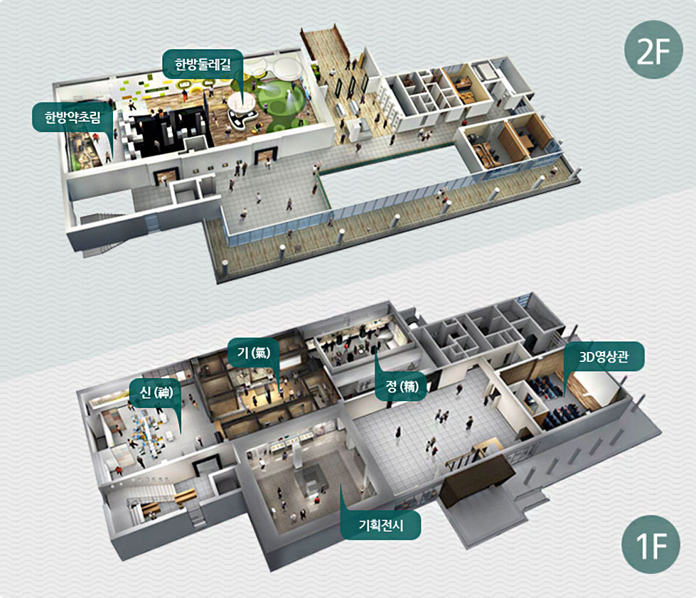 2F 에는 한방약초림 과 한방둘레길 1F 에는 신(神),기(氣), 정(精), 기획전시,3D영상관이 있습니다.