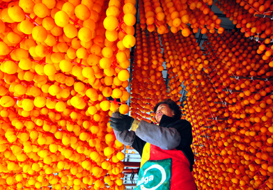 Jirisan Mountain Sancheong Dried Persimmon Festival image