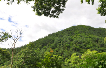 Gugoksan Mountain