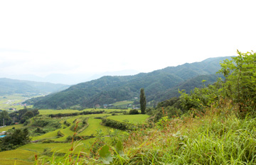 巢山/巢龙山