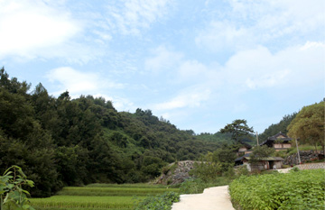 Taebongsan Mountain