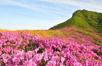 黄梅山