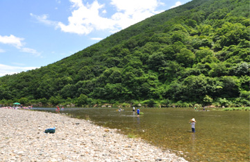 徳川江