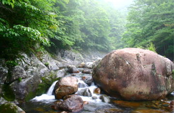 Naewonsa Valley